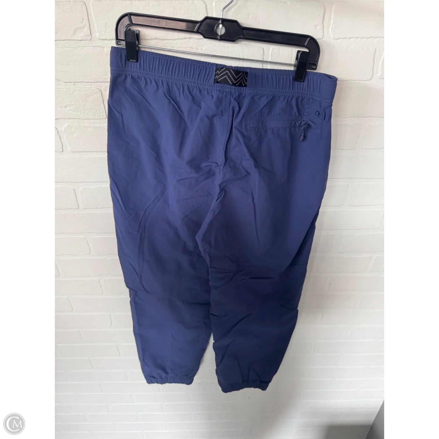Athletic Pants By Mountain Hardwear In Purple, Size: 12