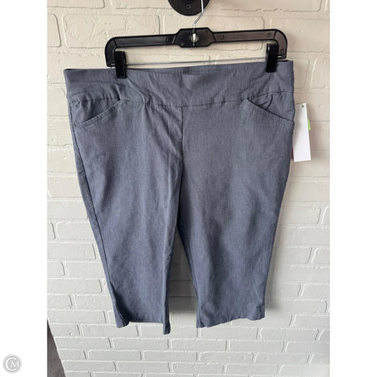 Capris By Christopher And Banks In Grey, Size: 16