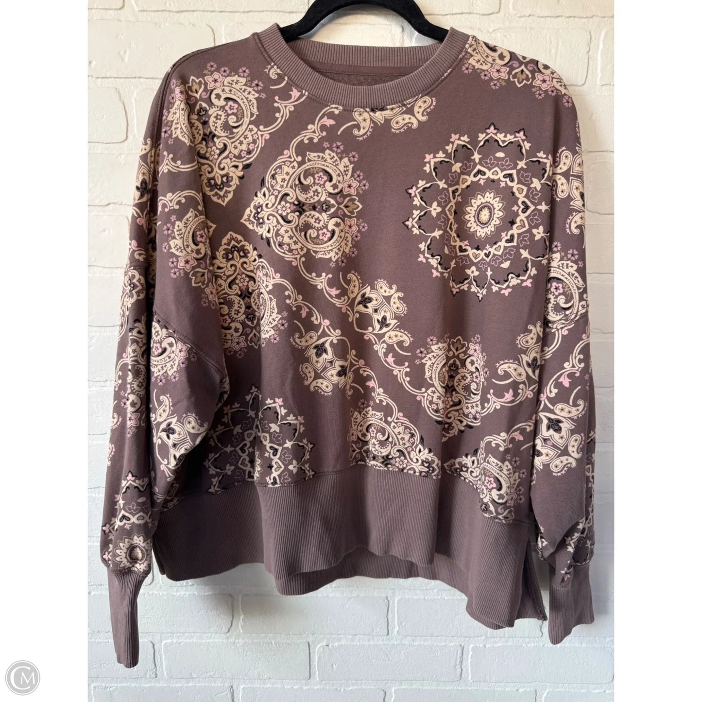 Sweatshirt Crewneck By American Eagle In Brown & Tan, Size: Xs