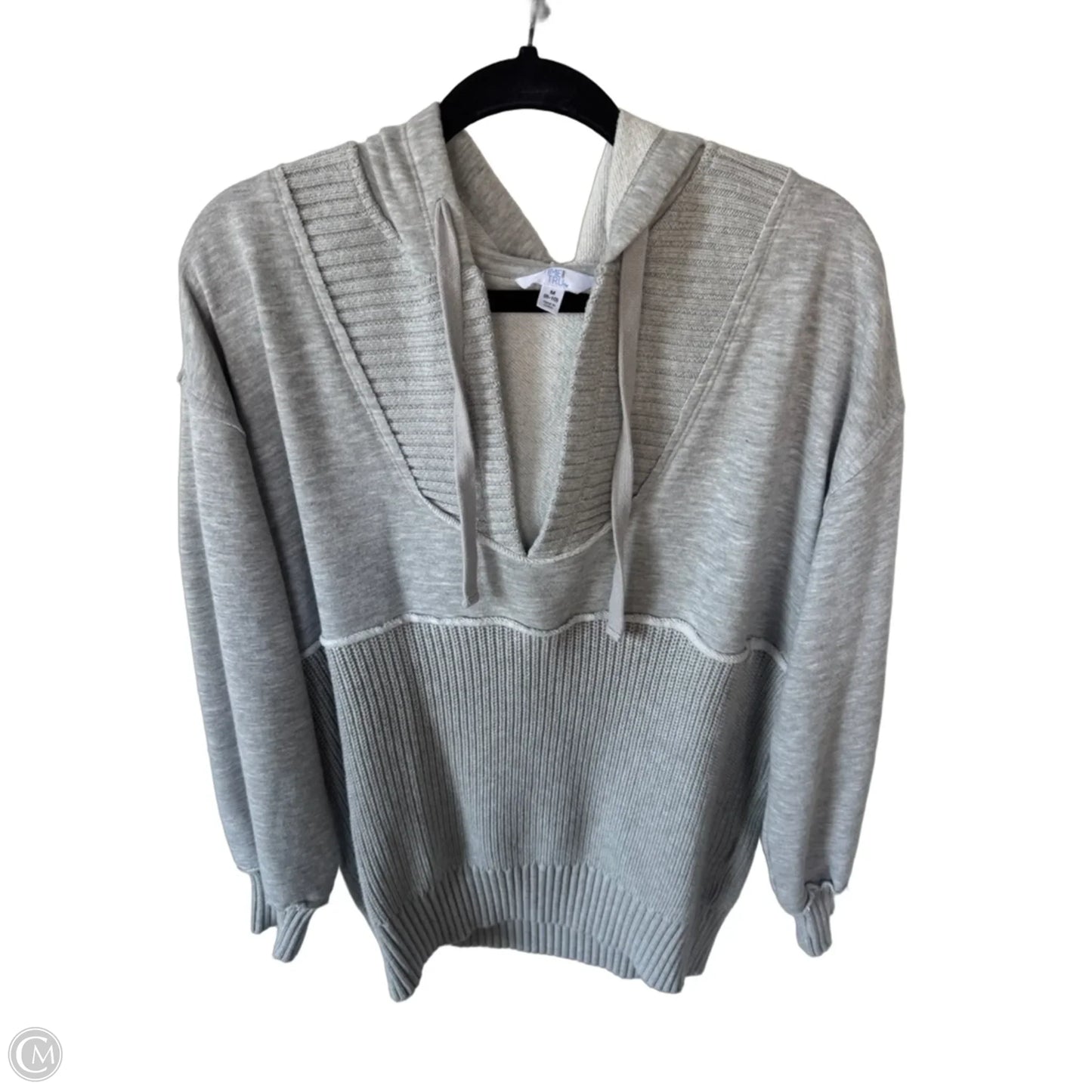 Sweatshirt Hoodie By Time And Tru In Grey, Size: M