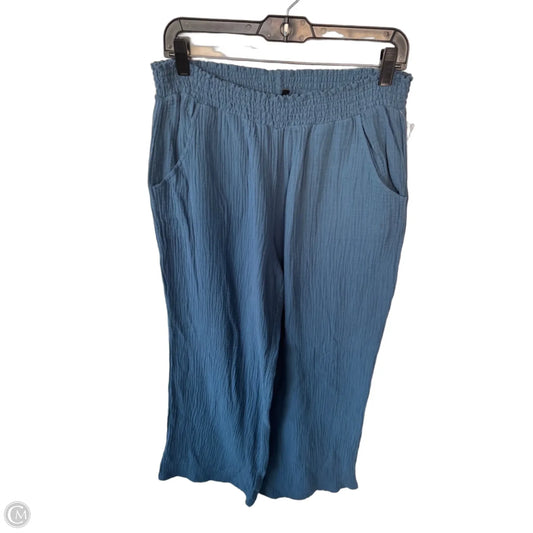 Pants Wide Leg By Drew In Blue, Size: 8
