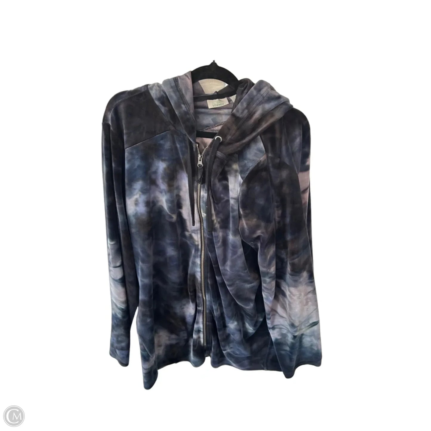 Sweatshirt Hoodie By Logo In Blue & Green, Size: Xl