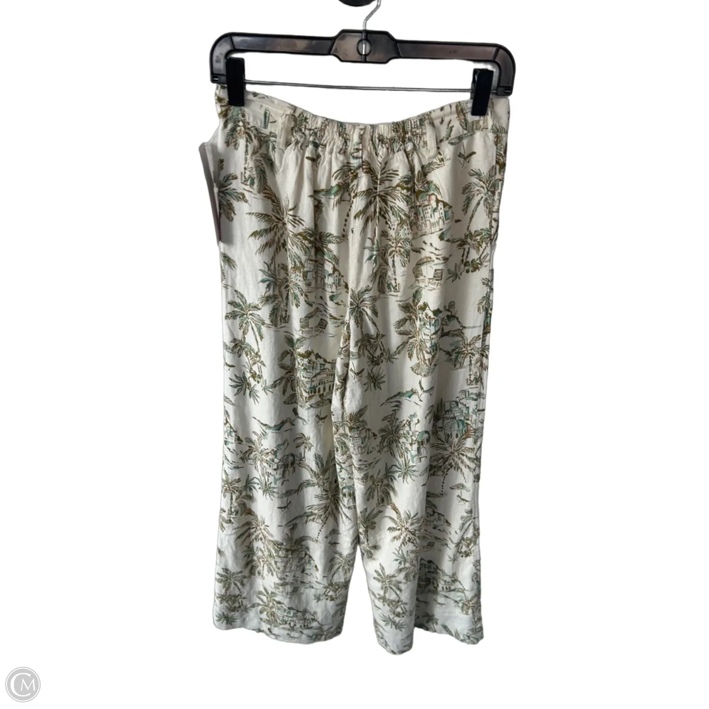 Pants Linen By Z Supply In Green & Tan, Size: S