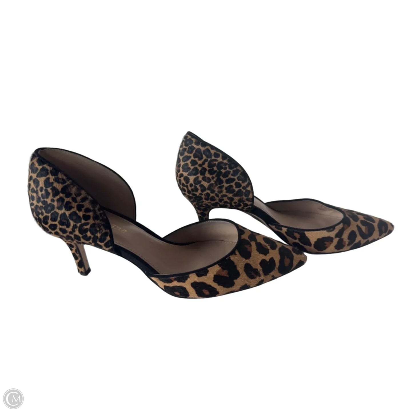 Shoes Heels Kitten By Clothes Mentor In Animal Print, Size: 6.5