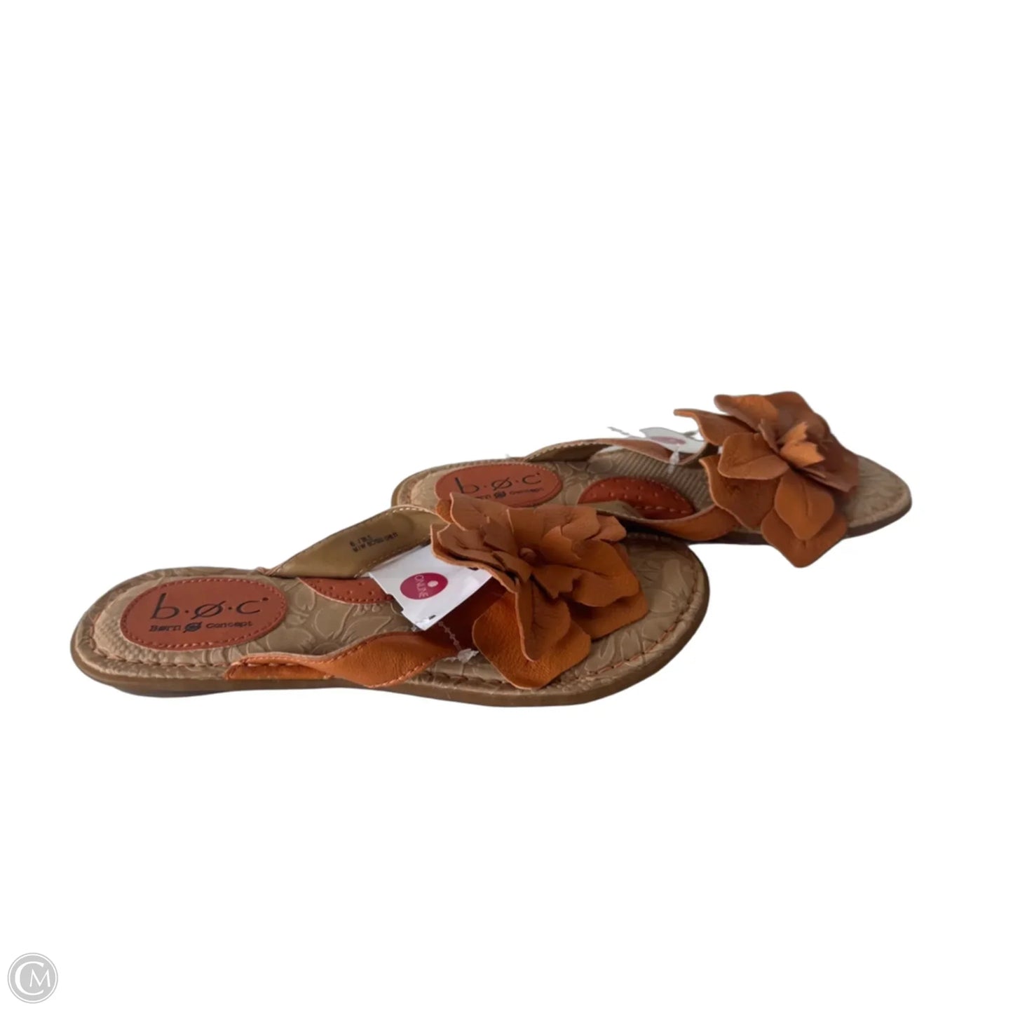 Sandals Flip Flops By Boc In Orange, Size: 6