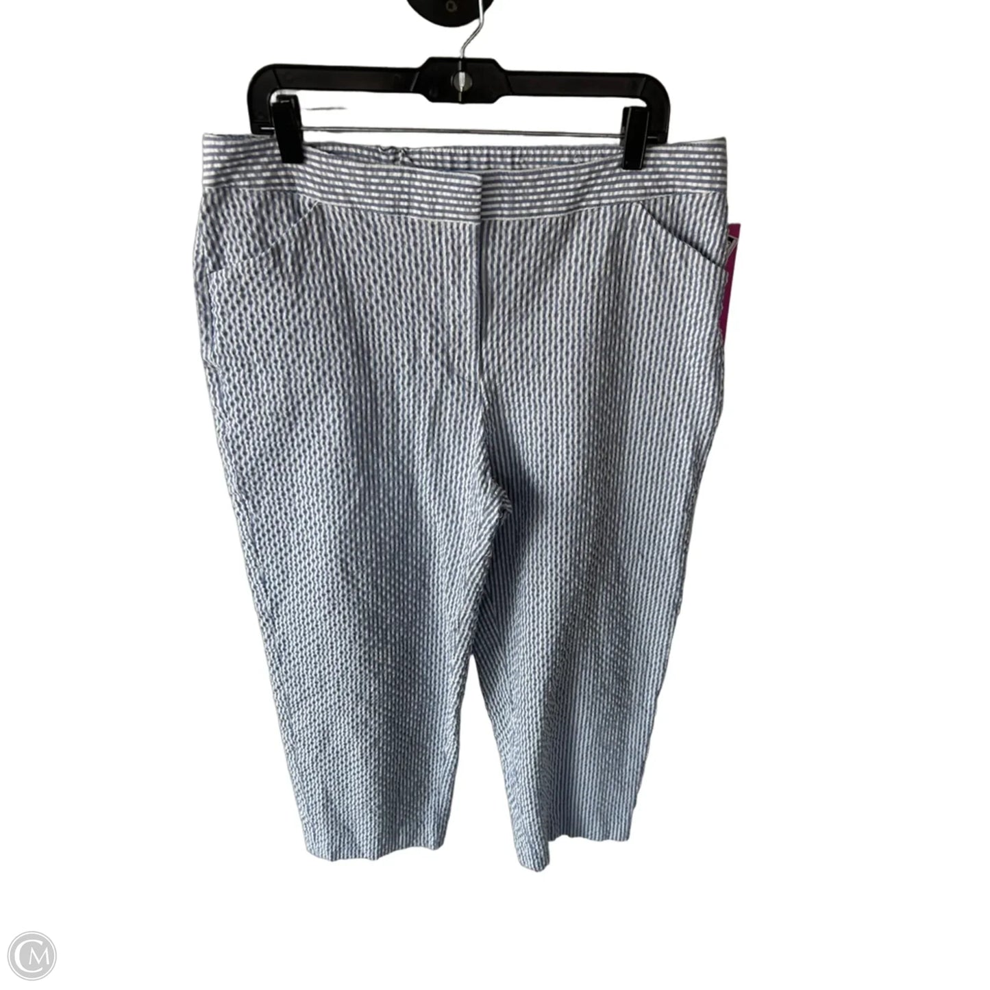 Pants Other By Chicos In Blue & White, Size: 14