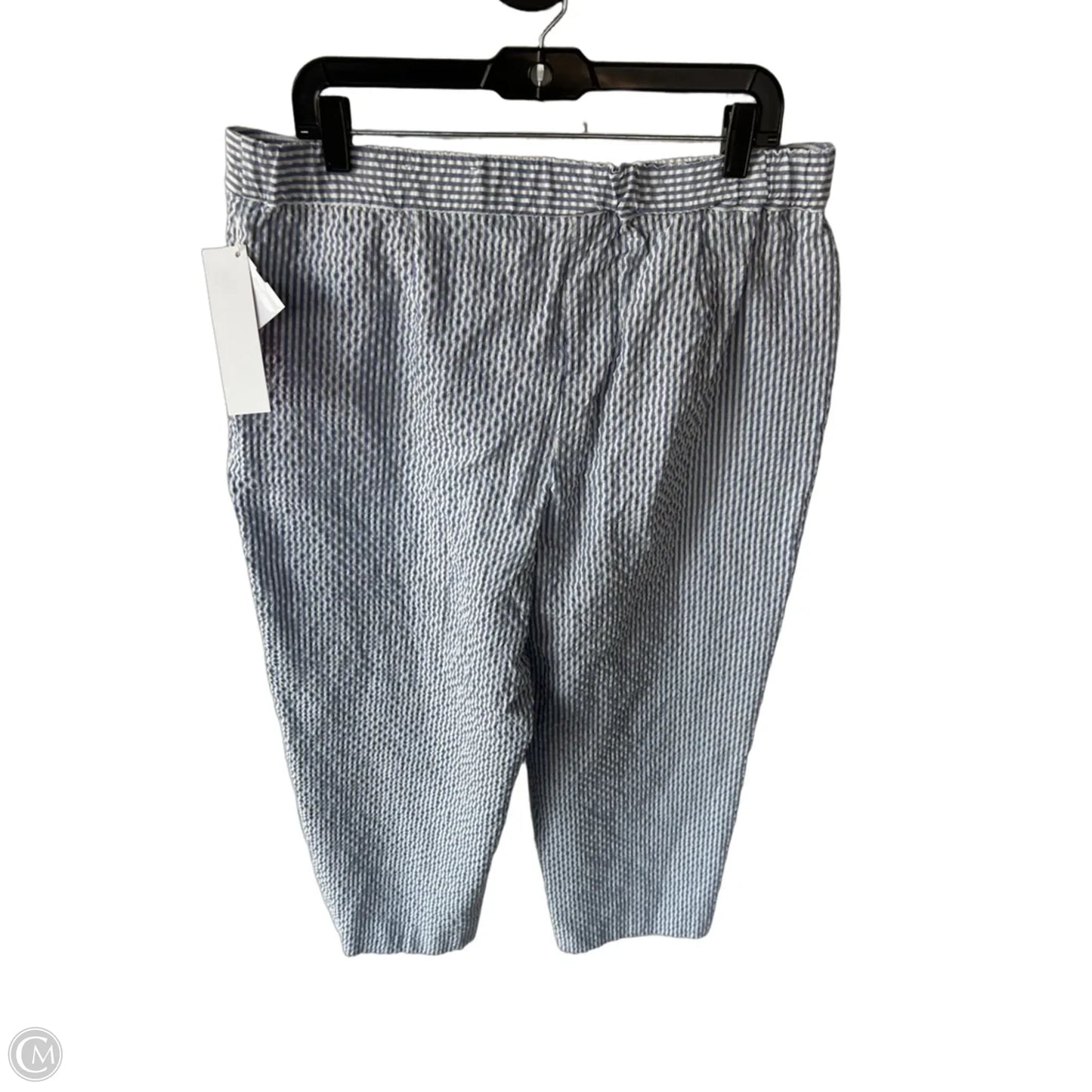 Pants Other By Chicos In Blue & White, Size: 14