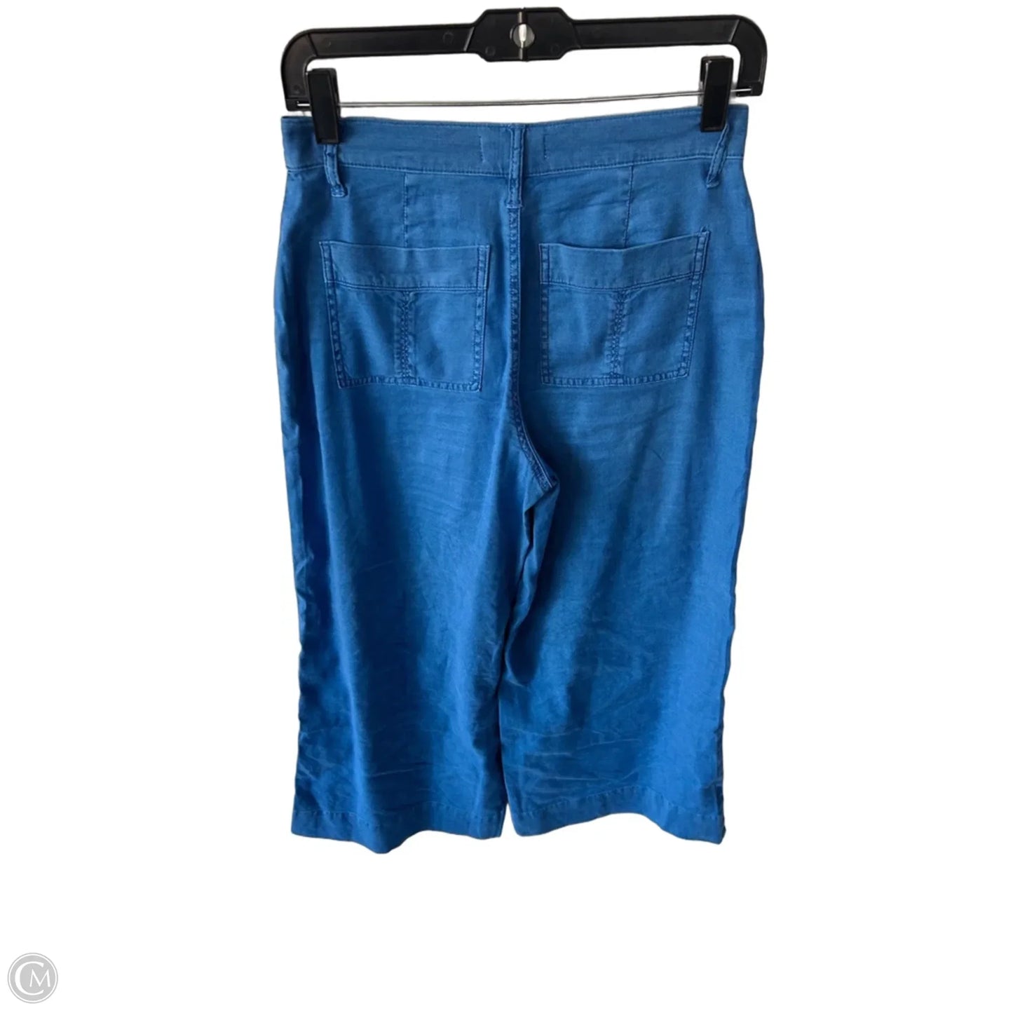 Pants Other By Evereve In Blue, Size: 2