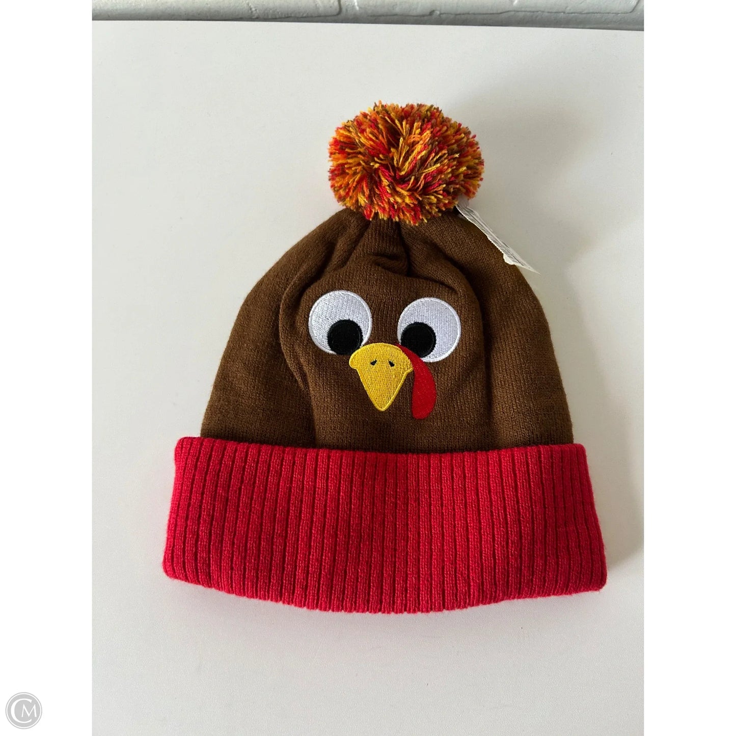 Hat Beanie By Clothes Mentor