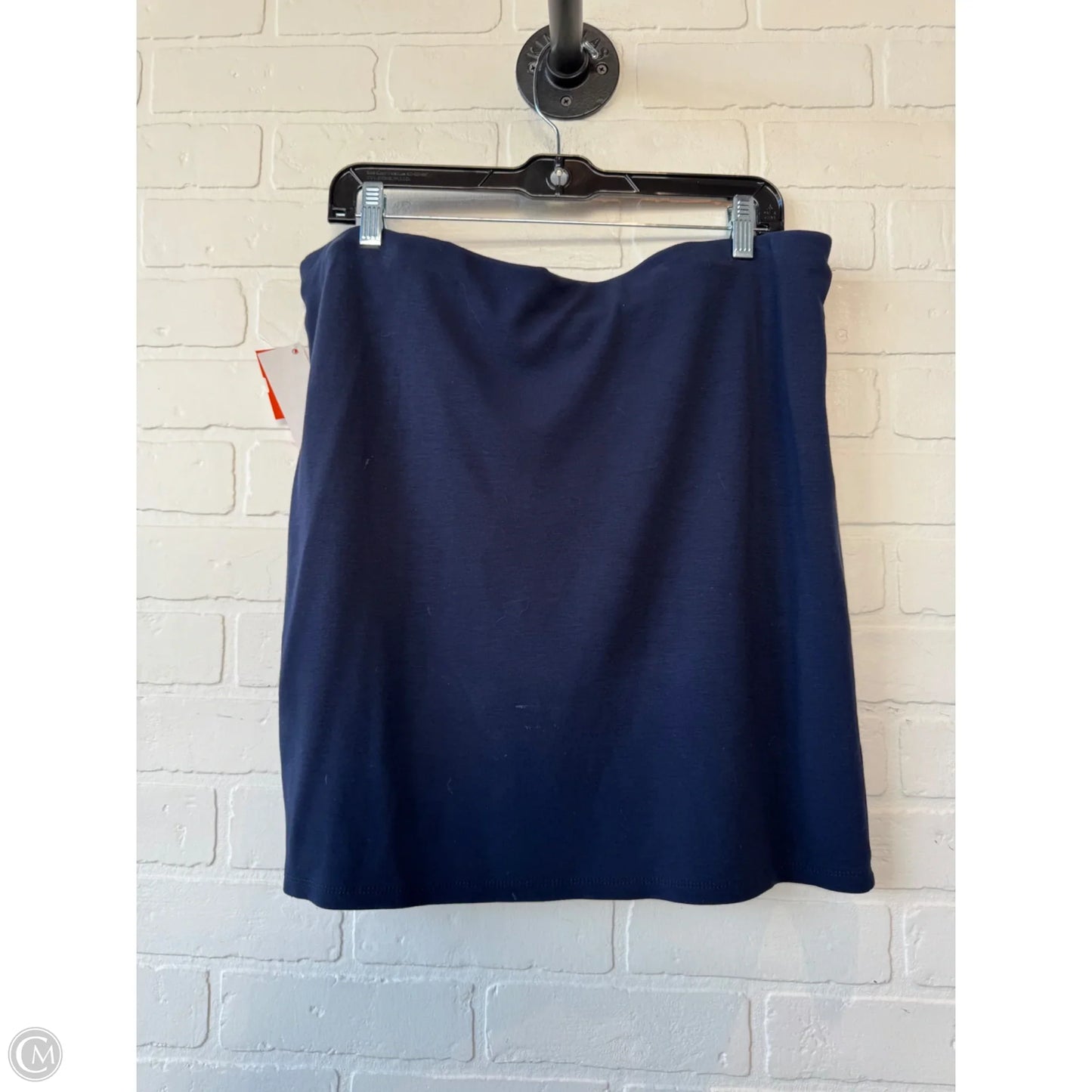 Skirt Mini & Short By Dip In Blue, Size: 16