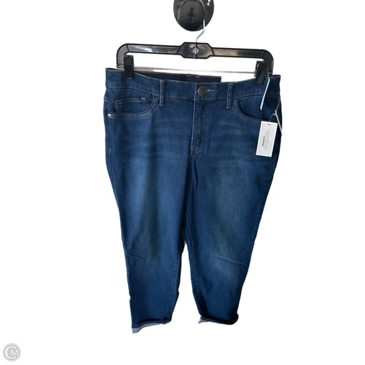 Jeans Skinny By Christopher And Banks In Blue Denim, Size: 8