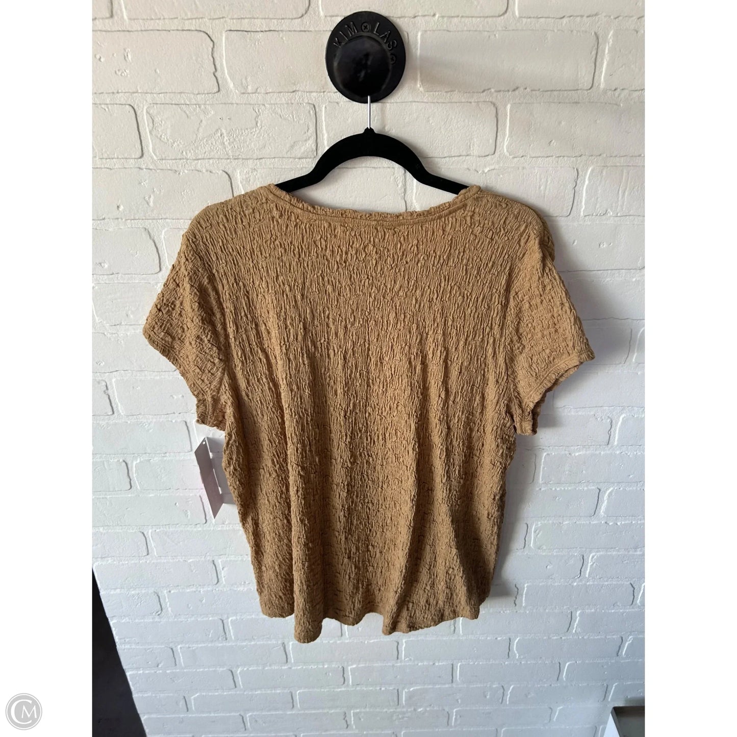 Top Short Sleeve By Chicos In Brown, Size: Xl