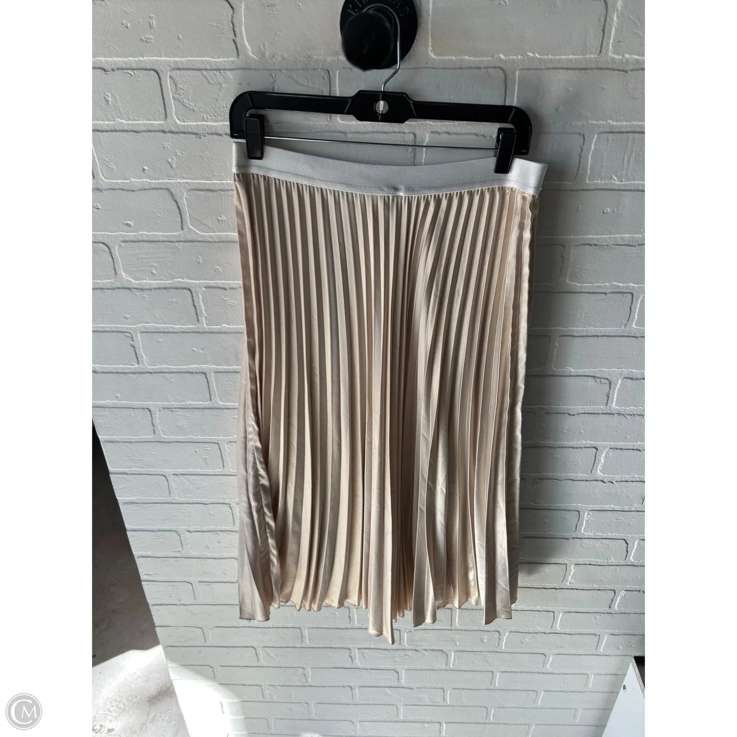 Skirt Midi By Wdny In Beige, Size: 12