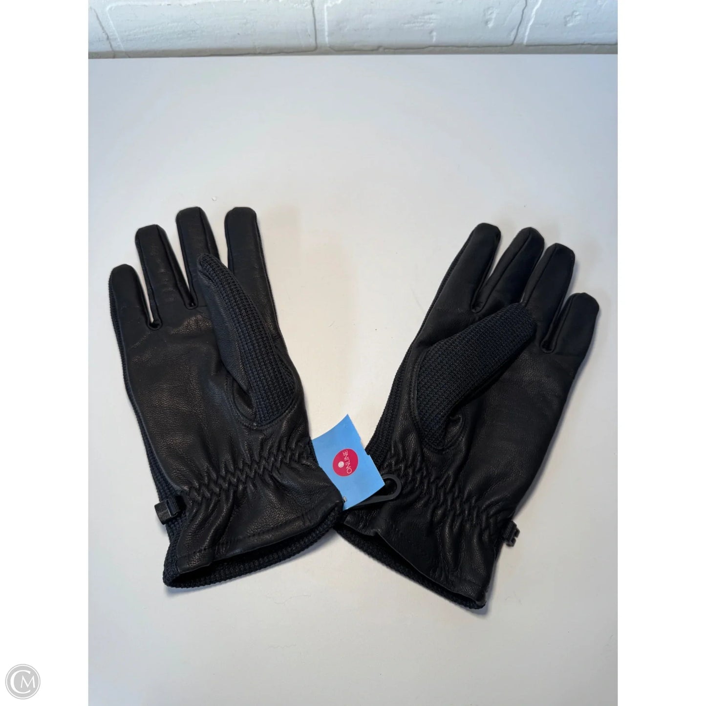 Gloves By Spyder
