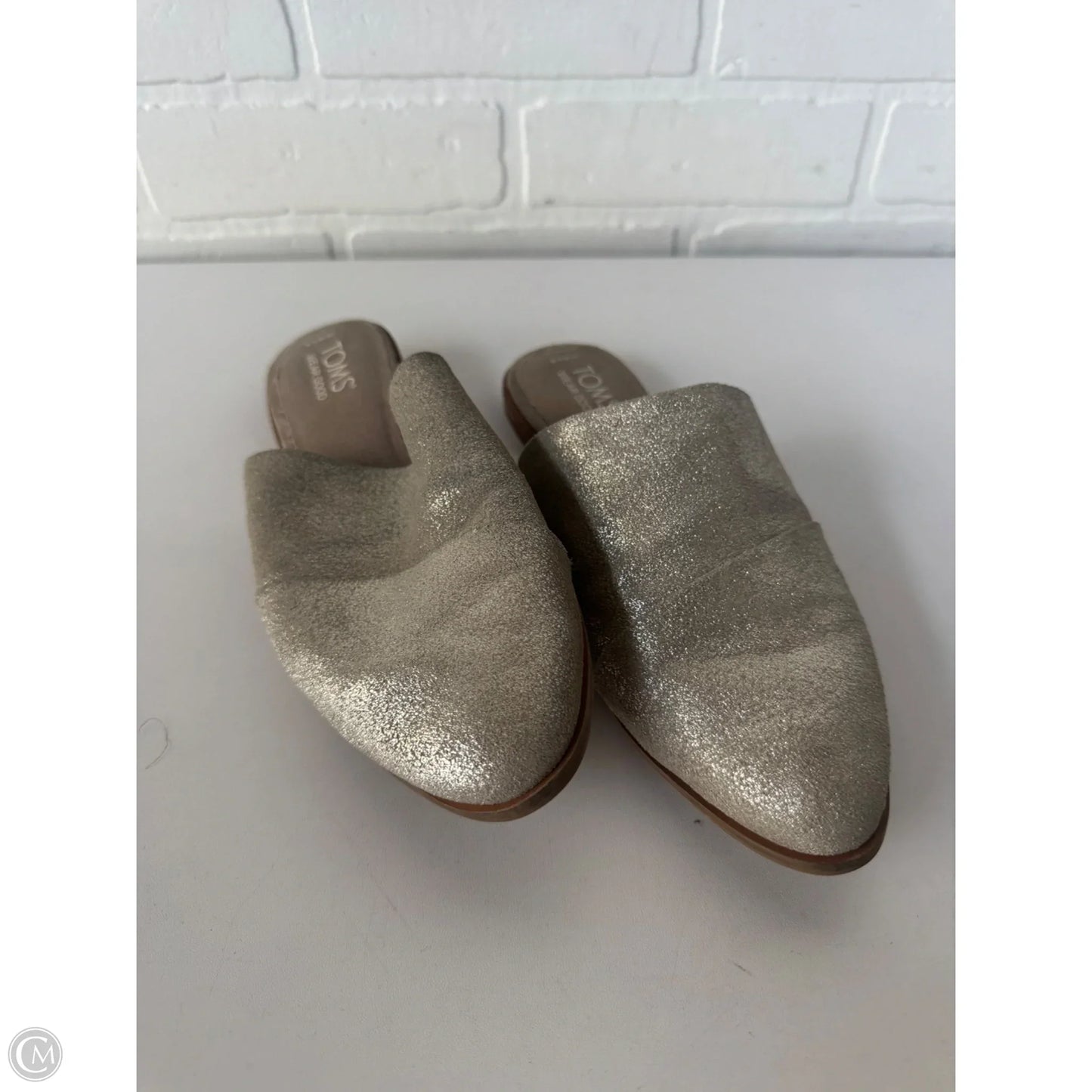 Shoes Flats By Toms In Silver, Size: 6.5