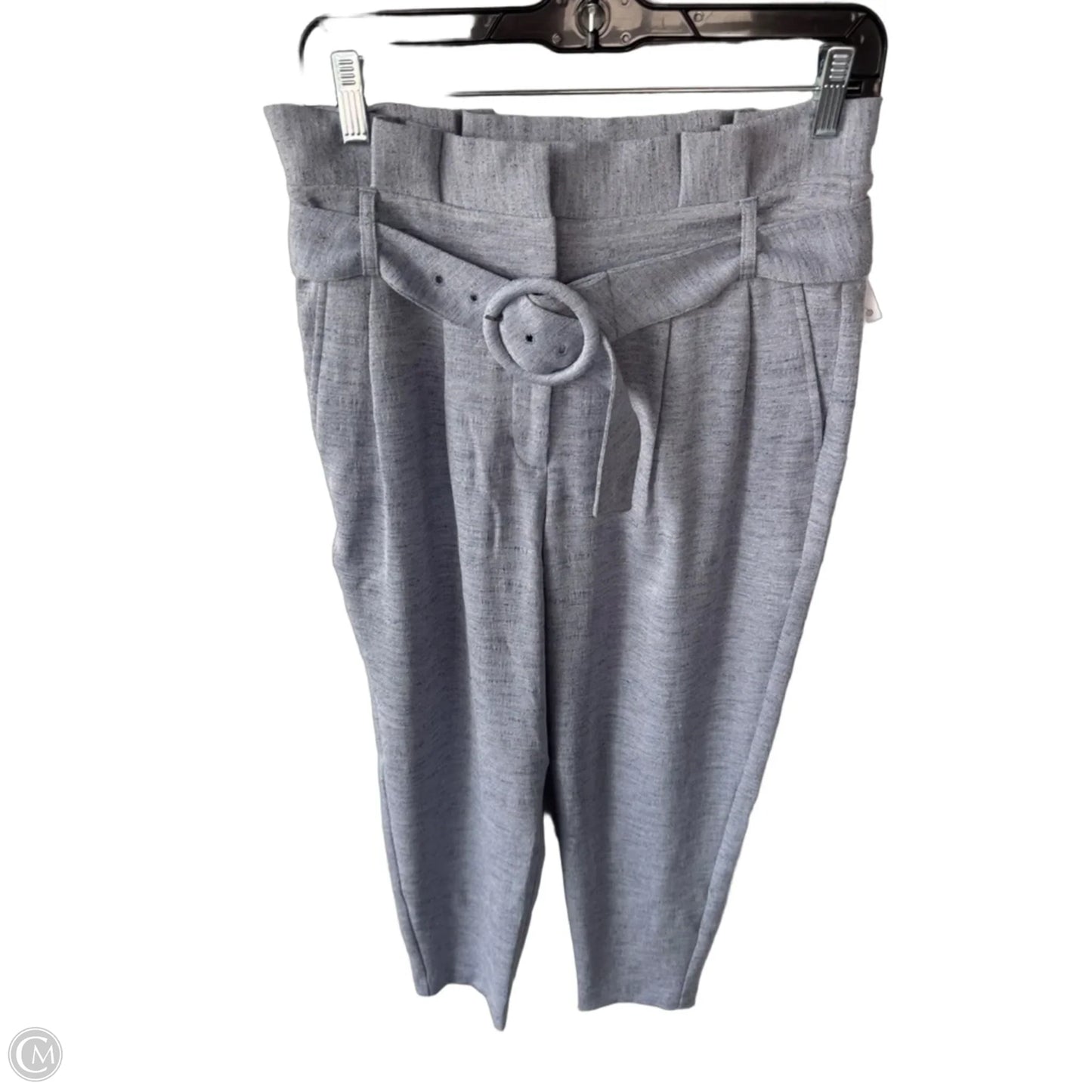 Pants Other By Express In Blue, Size: 4