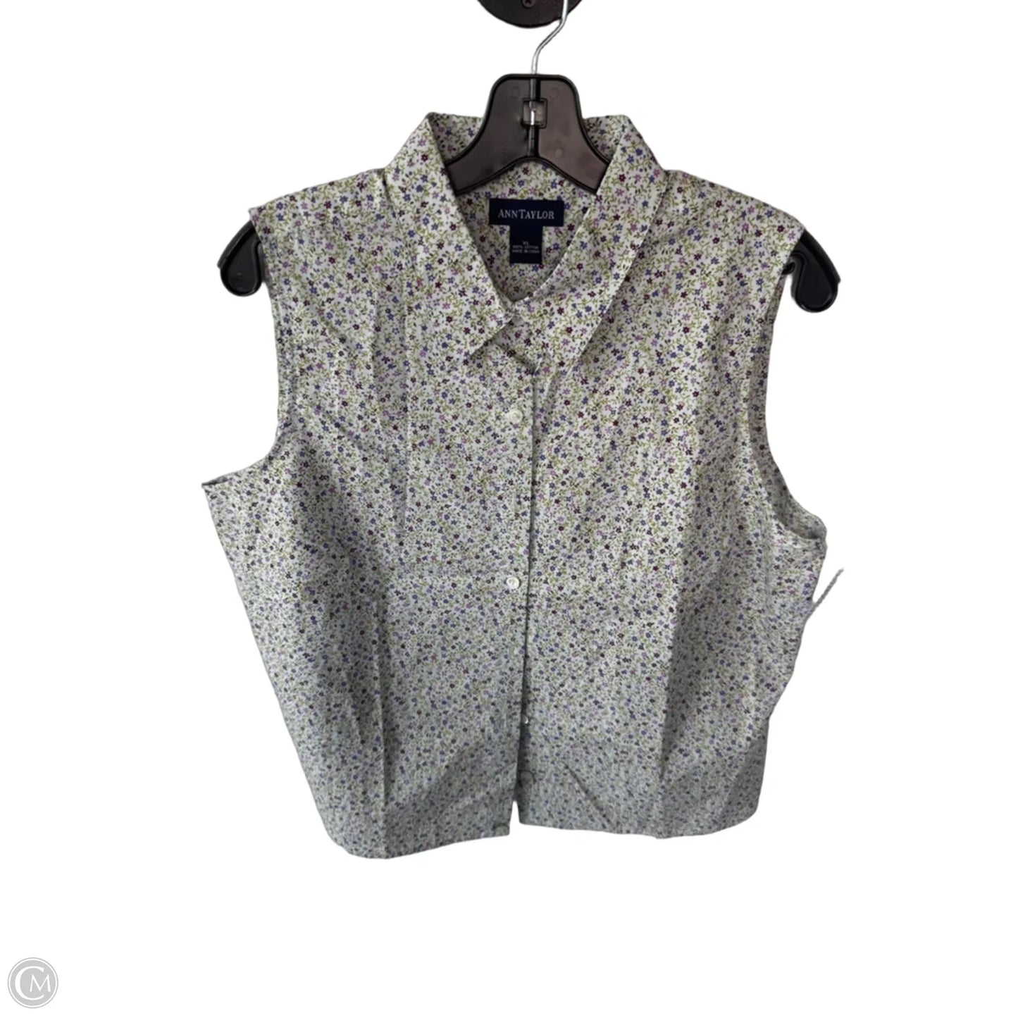 Top Sleeveless By Ann Taylor In Green & Purple, Size: Xl