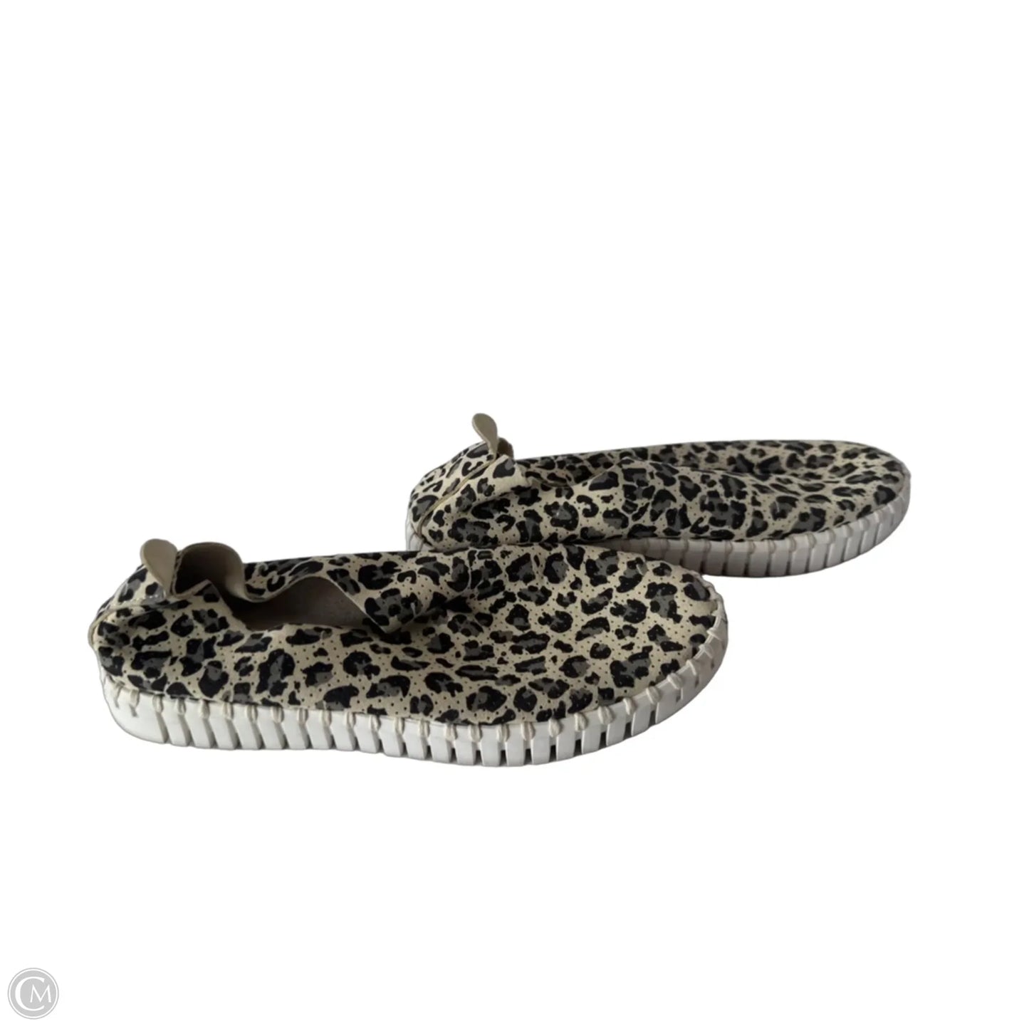 Shoes Flats By Cmb In Black & Cream, Size: 6