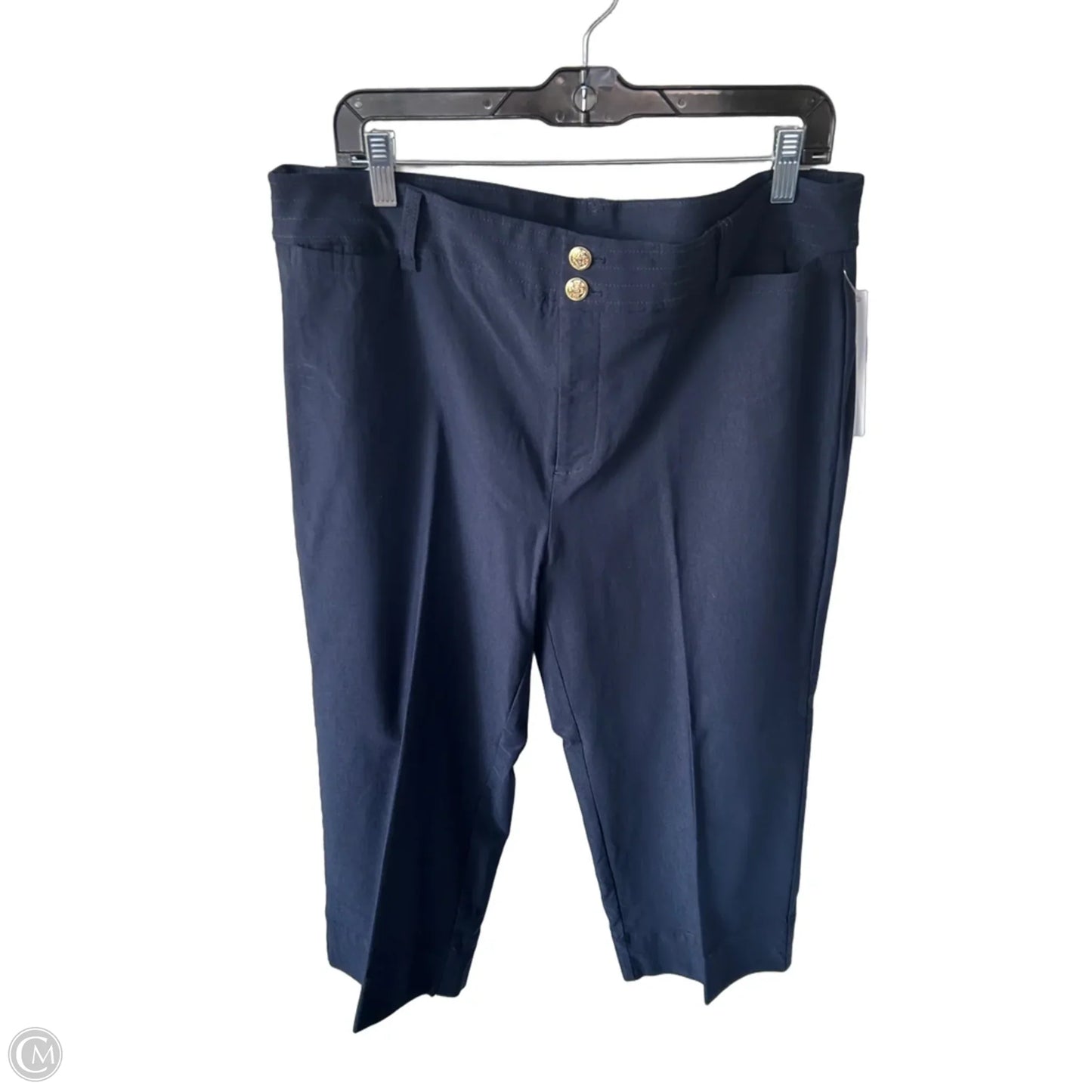Pants Other By Chicos In Blue, Size: 16