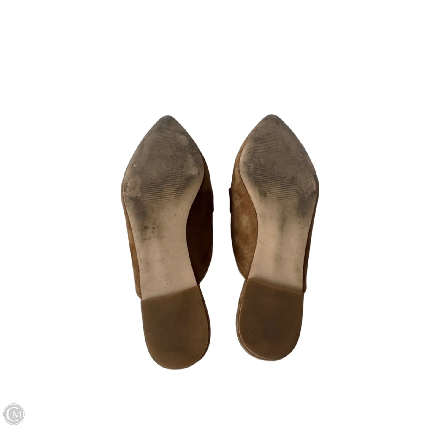 Shoes Flats By Steve Madden In Brown, Size: 9