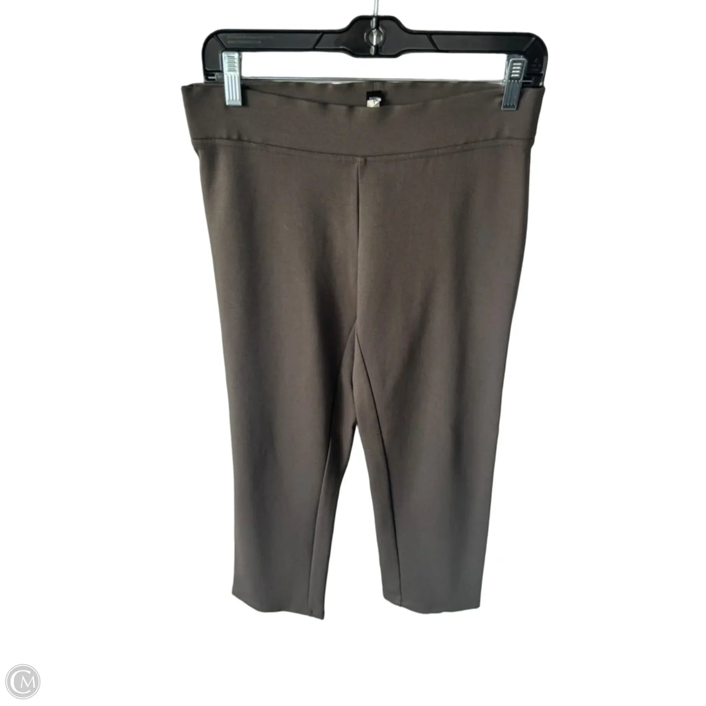 Pants Other By Eileen Fisher In Brown, Size: 4p