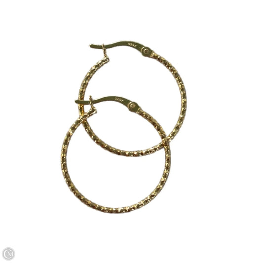Earrings Hoop