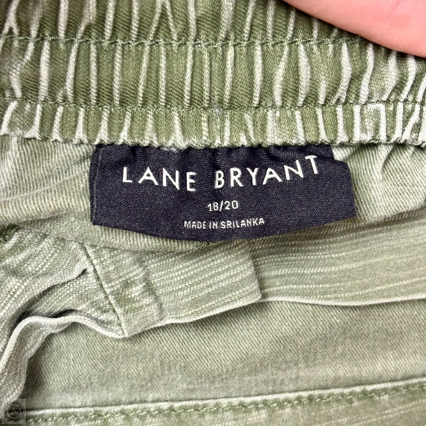 Shorts By Lane Bryant In Green, Size: 18