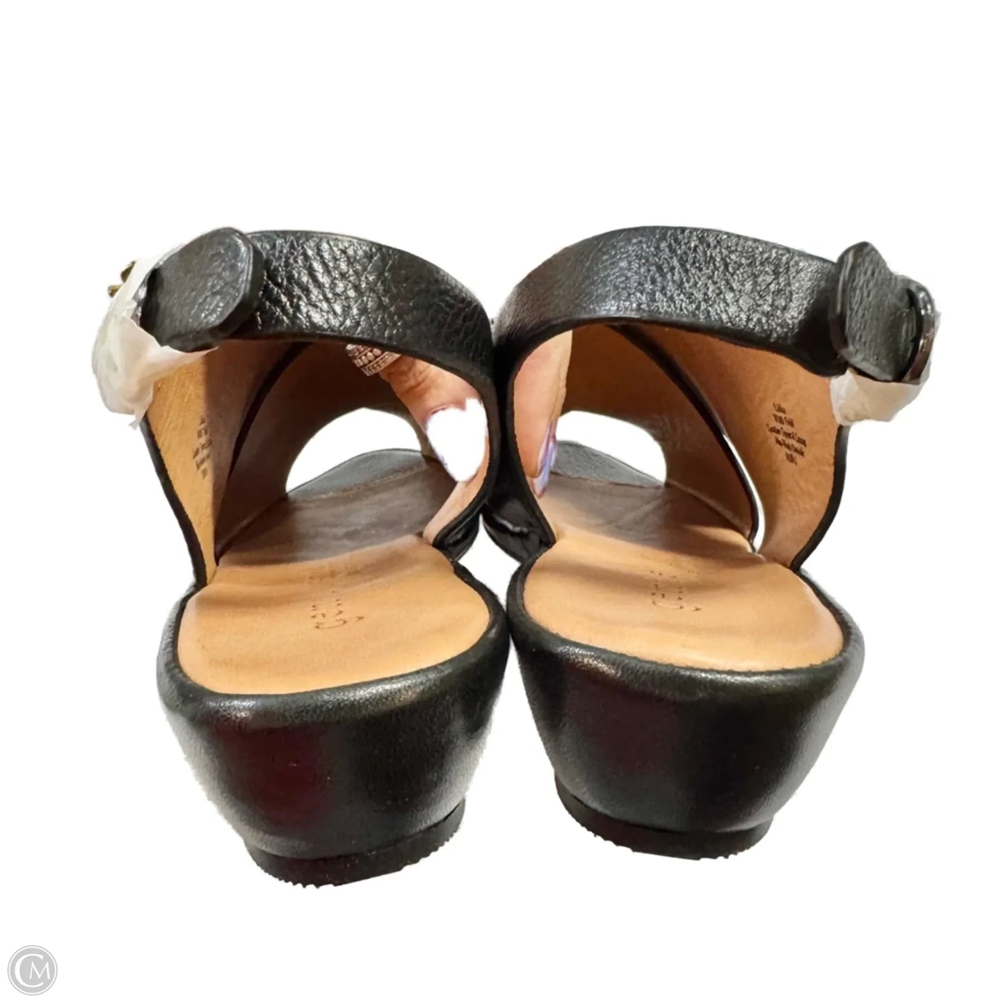 Sandals Heels Wedge By Gentle Souls In Black, Size: 7.5