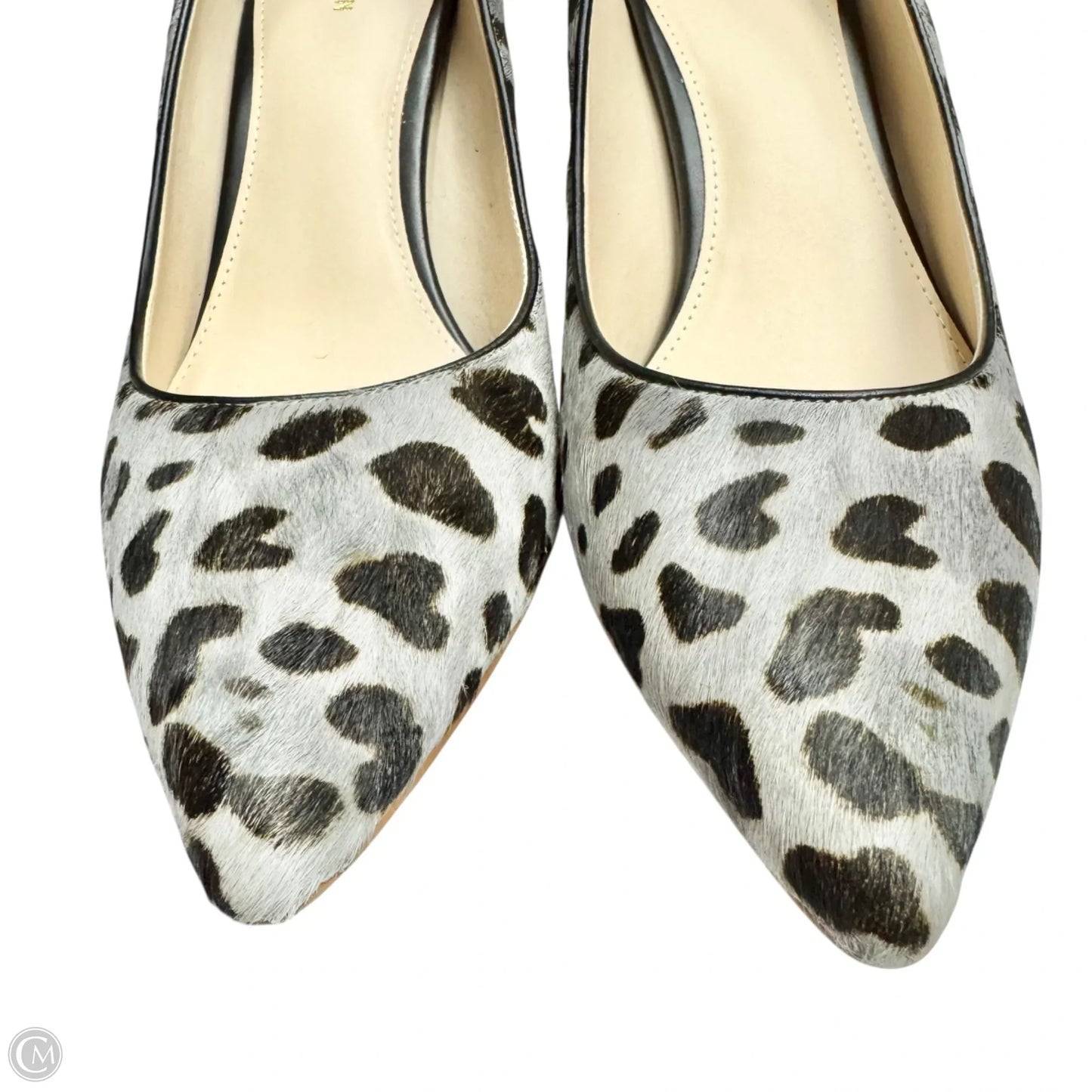 Shoes Heels Stiletto By Cole-haan In Animal Print, Size: 9.5