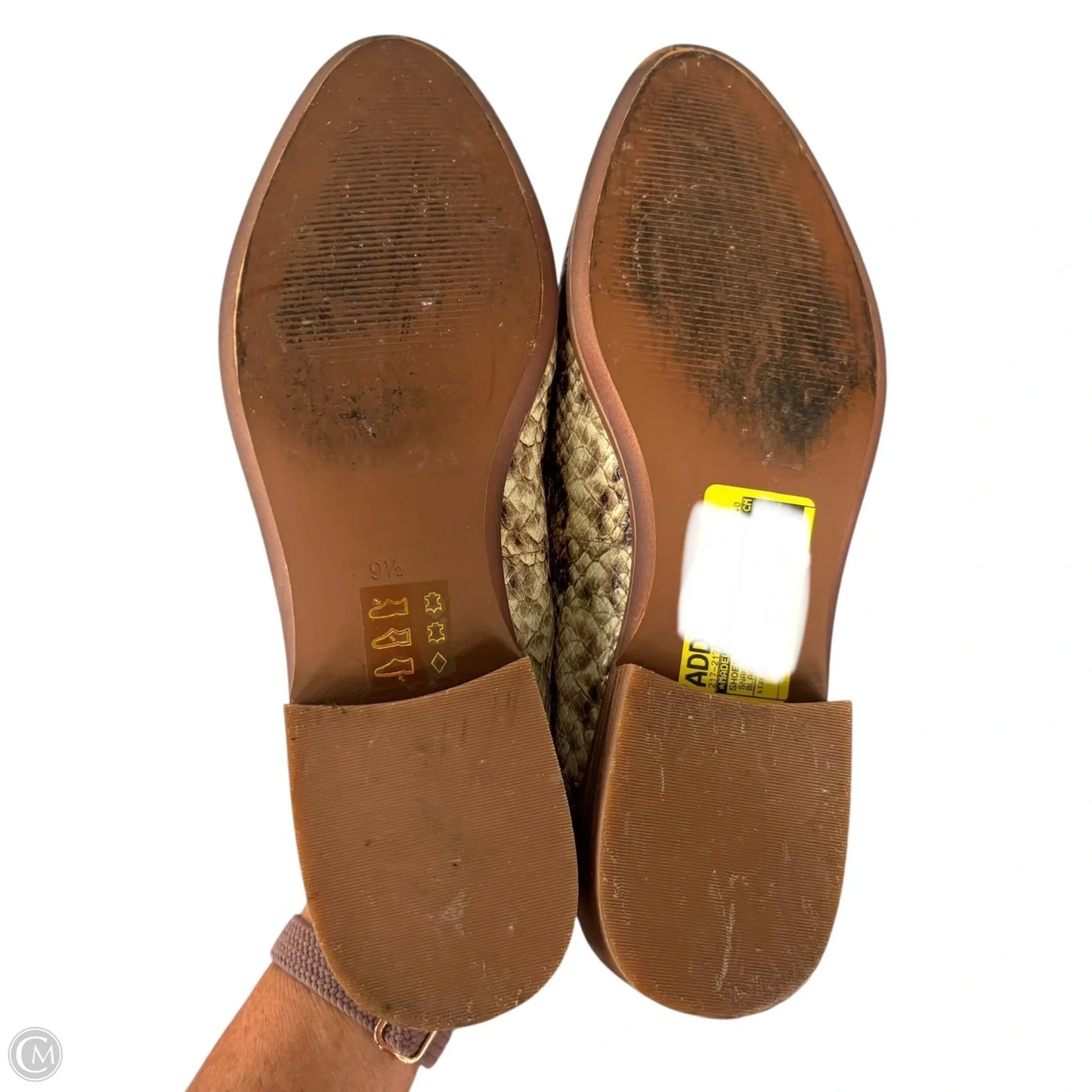 Shoes Flats By Madewell In Snakeskin Print, Size: 9.5