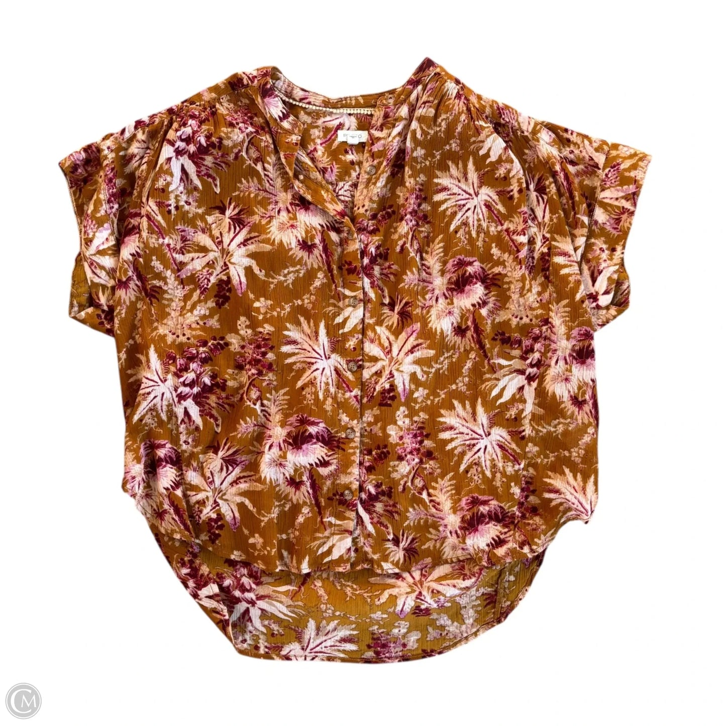 Top Short Sleeve By Pilcro In Floral Print, Size: S/M