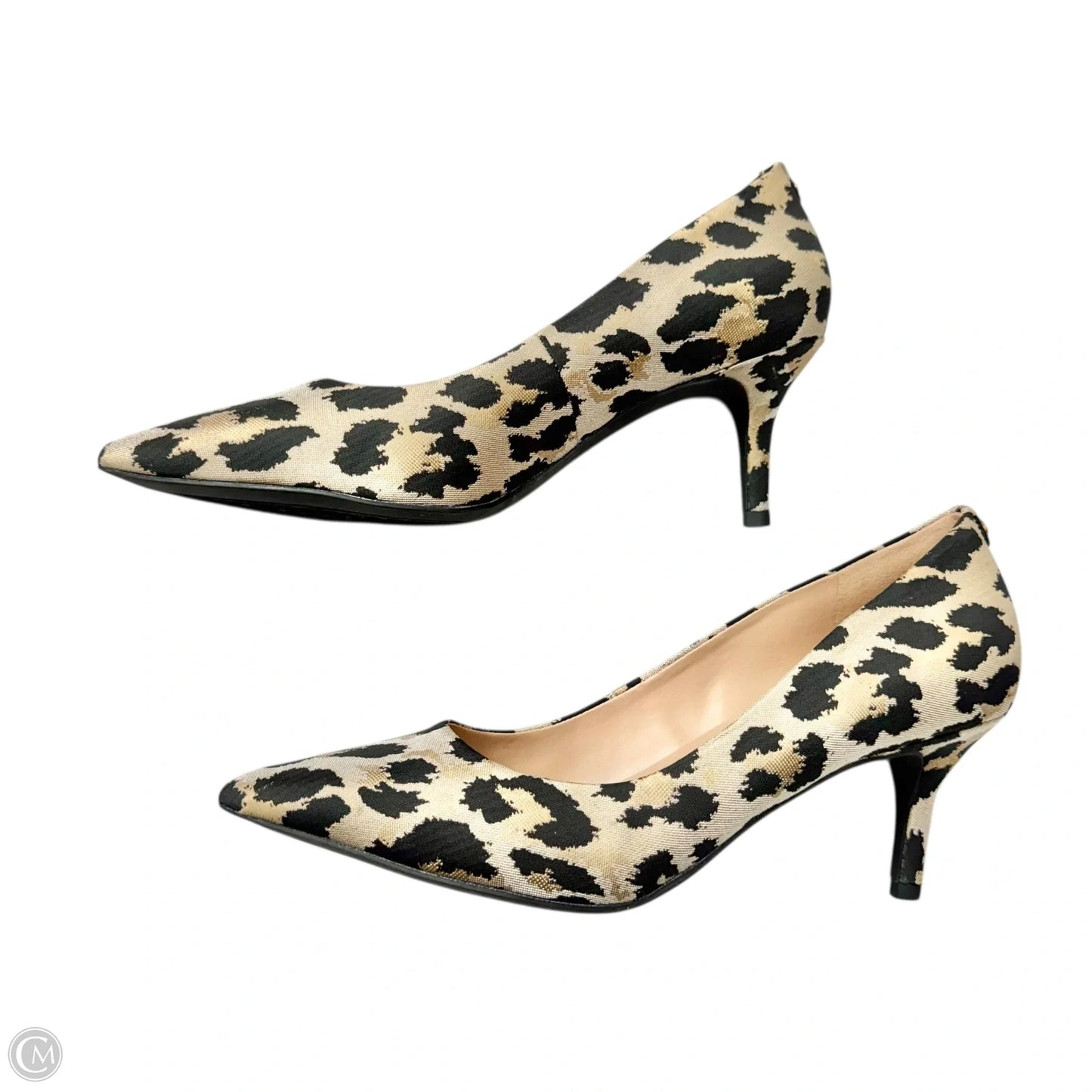 Shoes Heels Kitten By Cole-haan In Leopard Print, Size: 7
