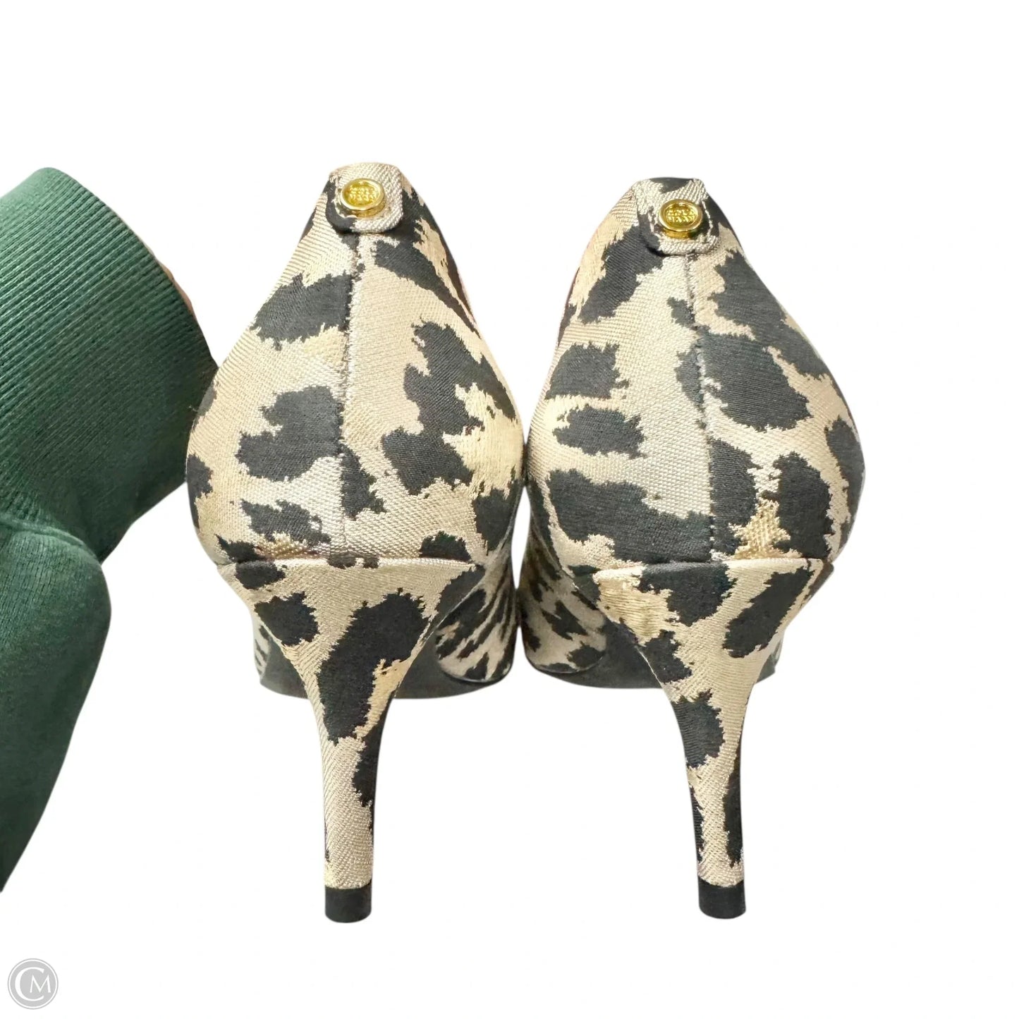 Shoes Heels Kitten By Cole-haan In Leopard Print, Size: 7