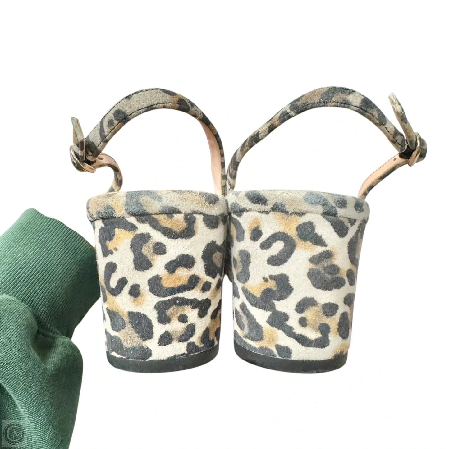 Shoes Designer By Kate Spade In Leopard Print, Size: 7