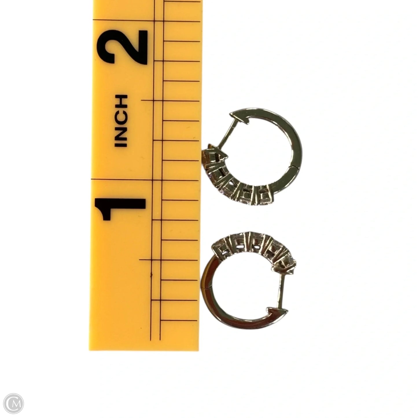 Earrings Sterling Silver