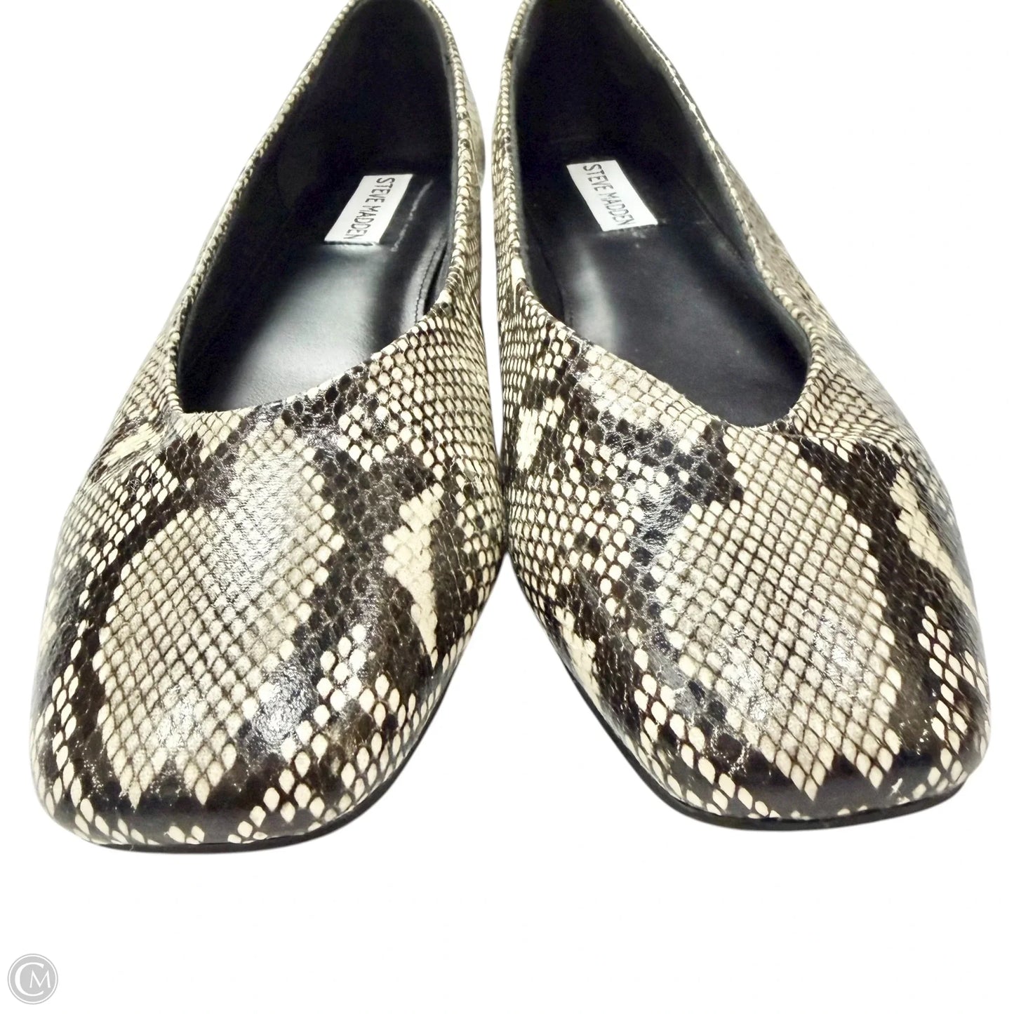 Shoes Flats By Steve Madden In Snakeskin Print, Size: 9