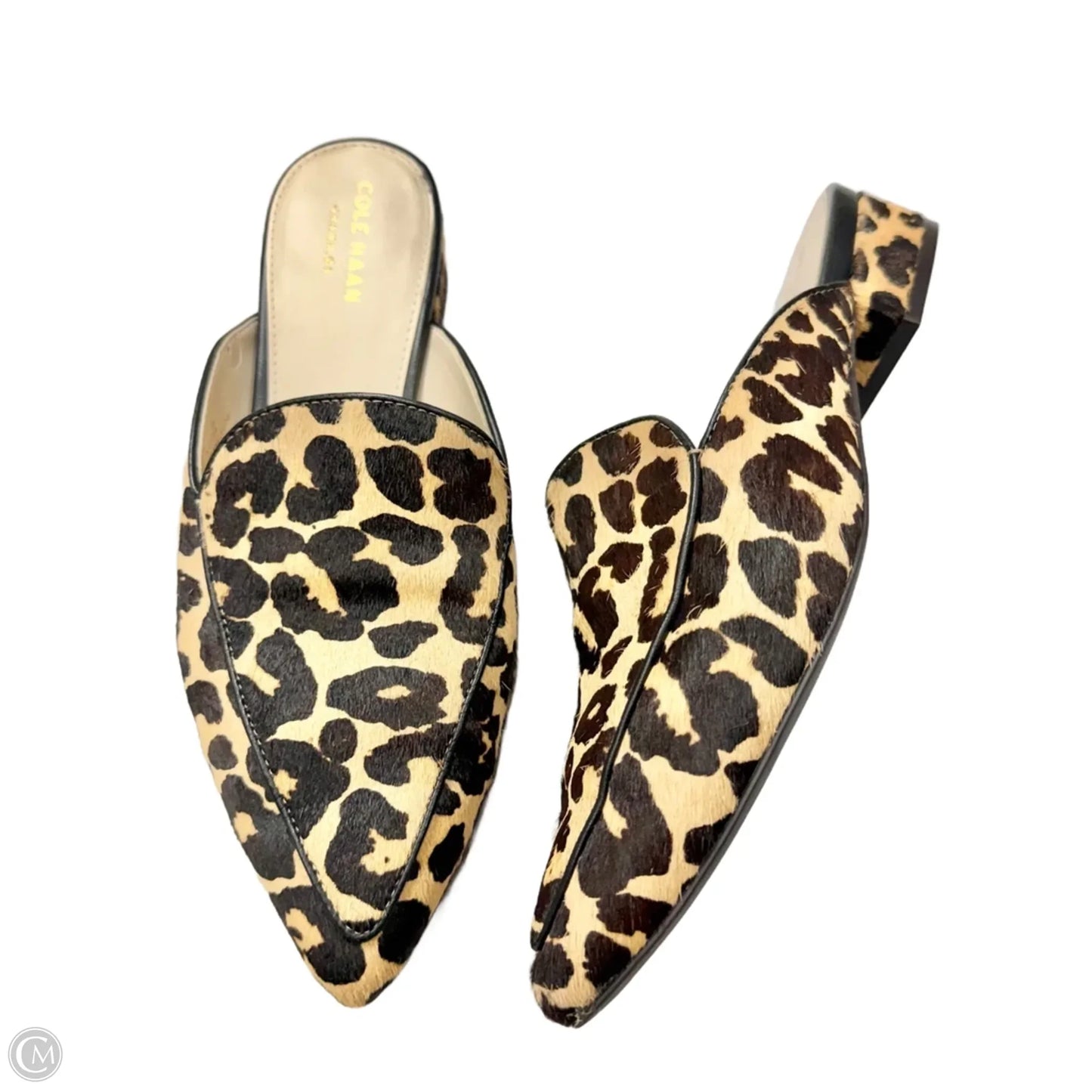 Shoes Flats By Cole-haan In Leopard Print, Size: 7