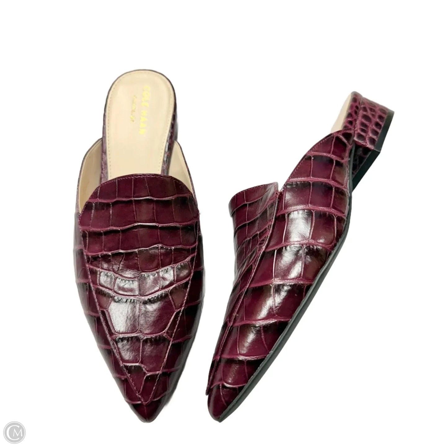 Shoes Flats By Cole-haan In Purple, Size: 7