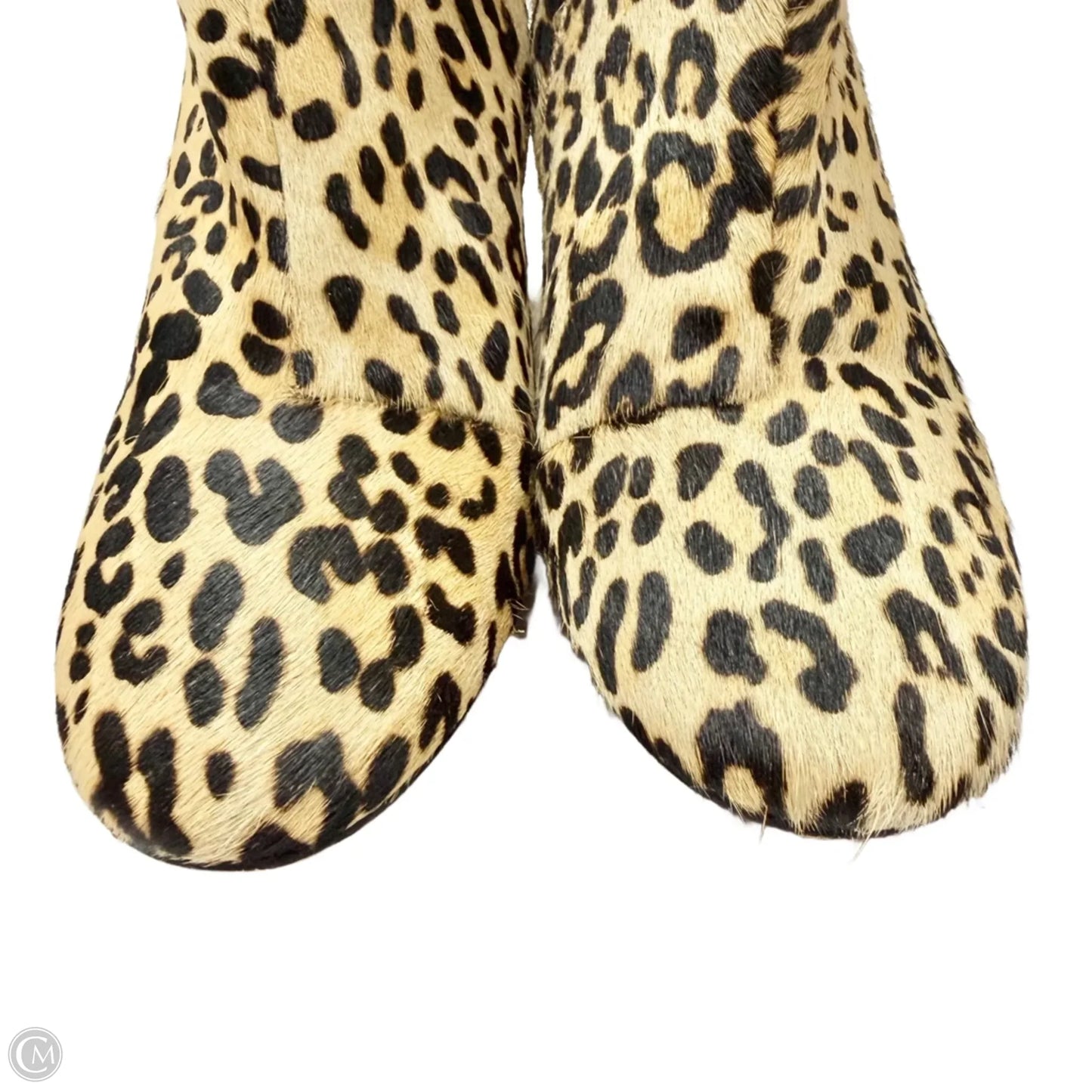 Boots Ankle Heels By Halogen In Leopard Print, Size: 6.5