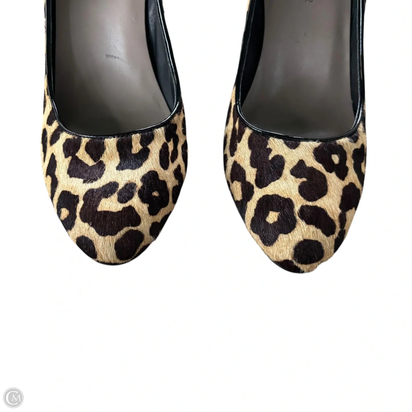 Shoes Heels Block By Donald Pliner In Leopard Print, Size: 7
