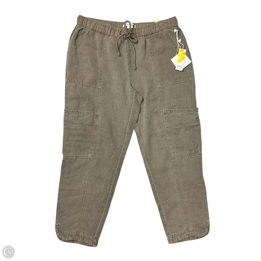 Pants Cargo & Utility By C And C In Brown, Size: L