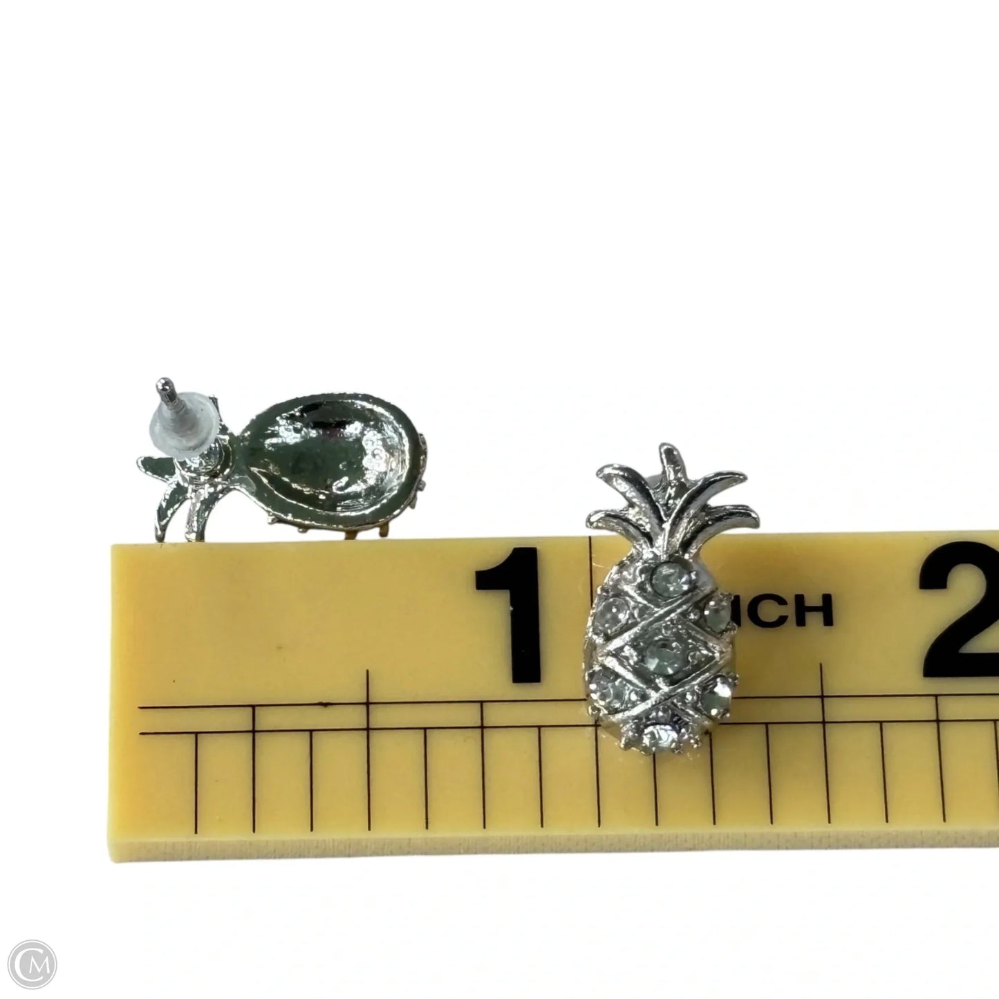 Earrings Other