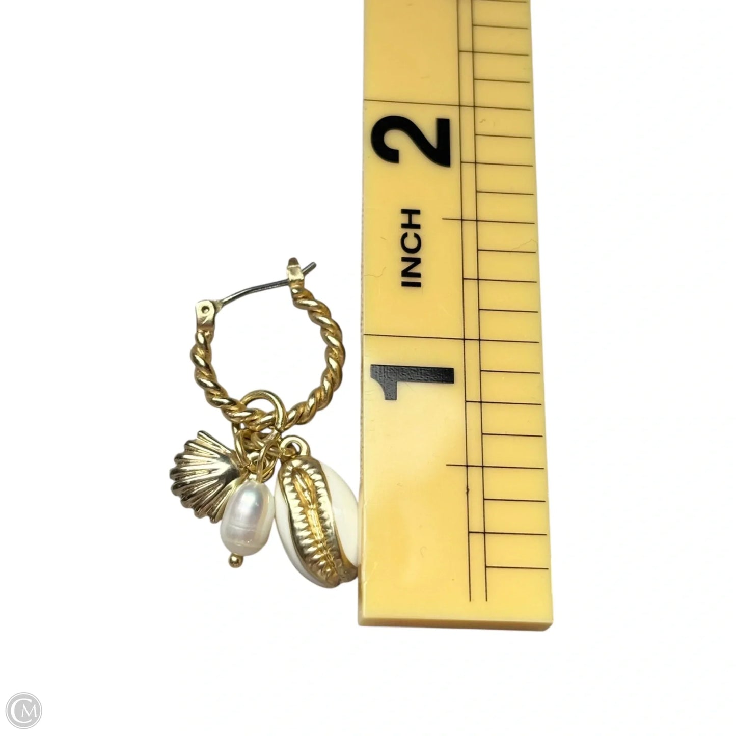 Earrings Dangle/drop