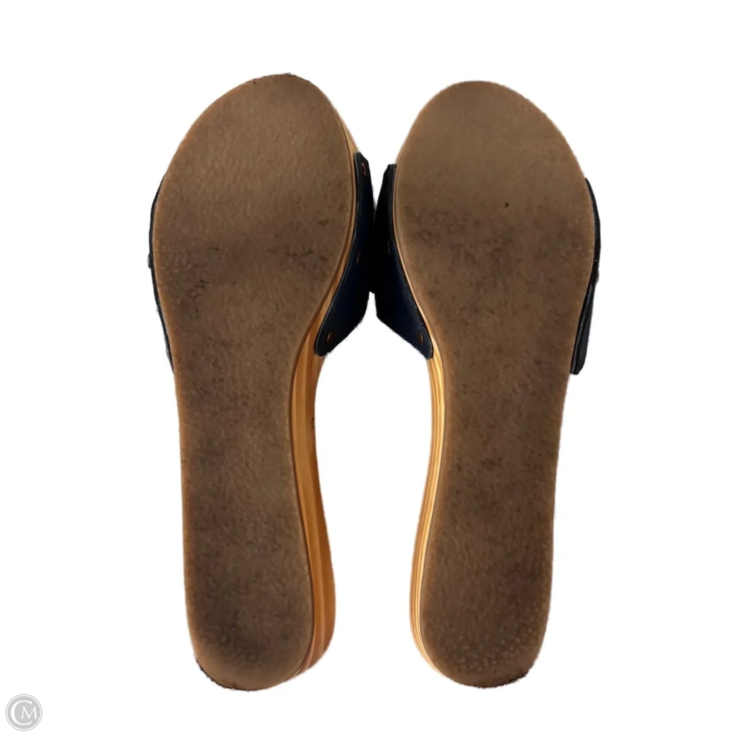 Sandals Flats By Kimichi Blue In Blue & Tan, Size: 10