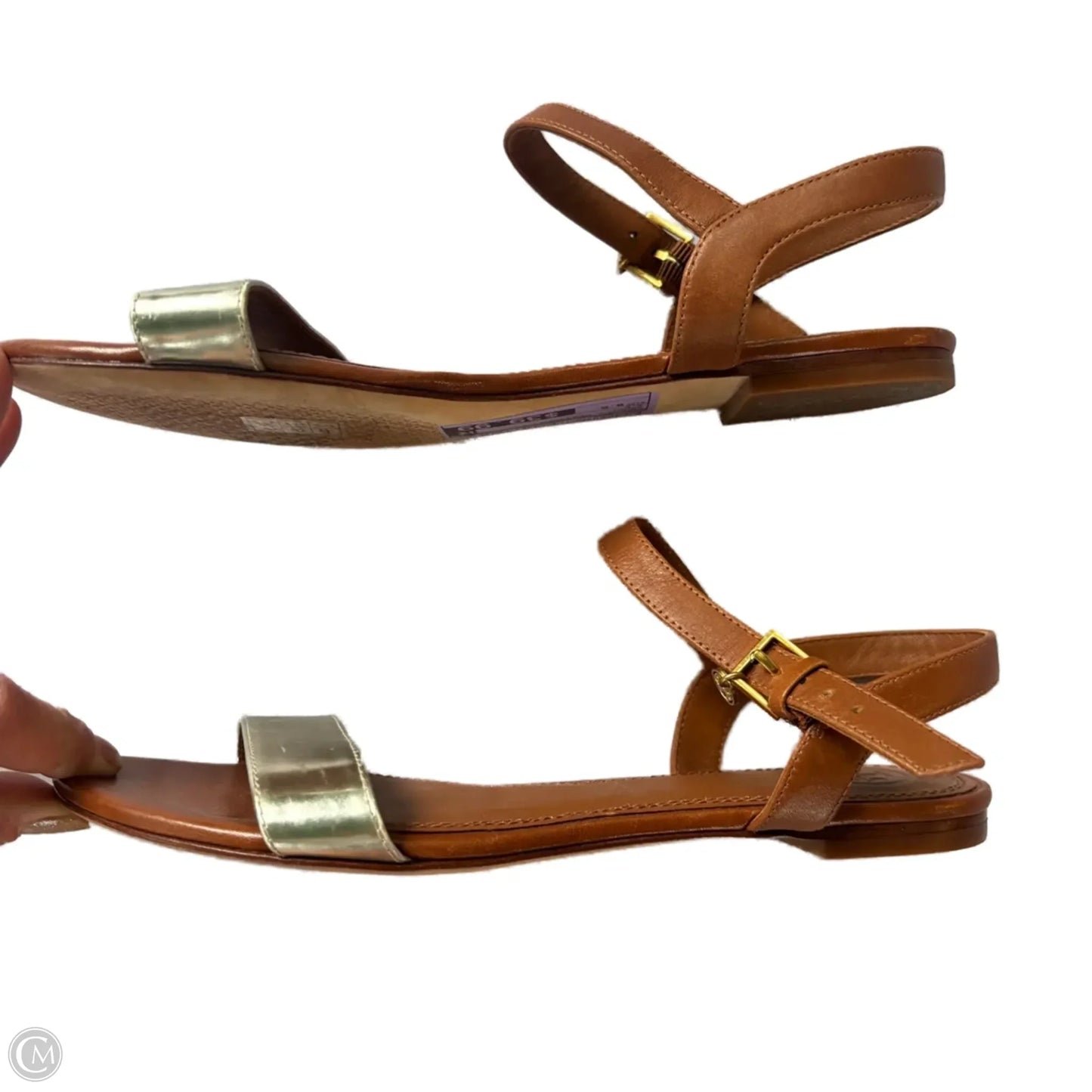 Sandals Designer By Tory Burch In Brown, Size: 6.5