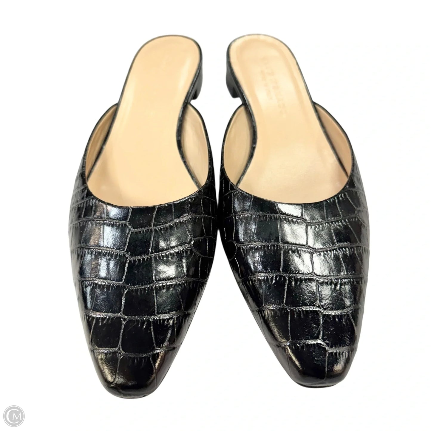 Shoes Flats By Club Monaco In Black, Size: 7.5