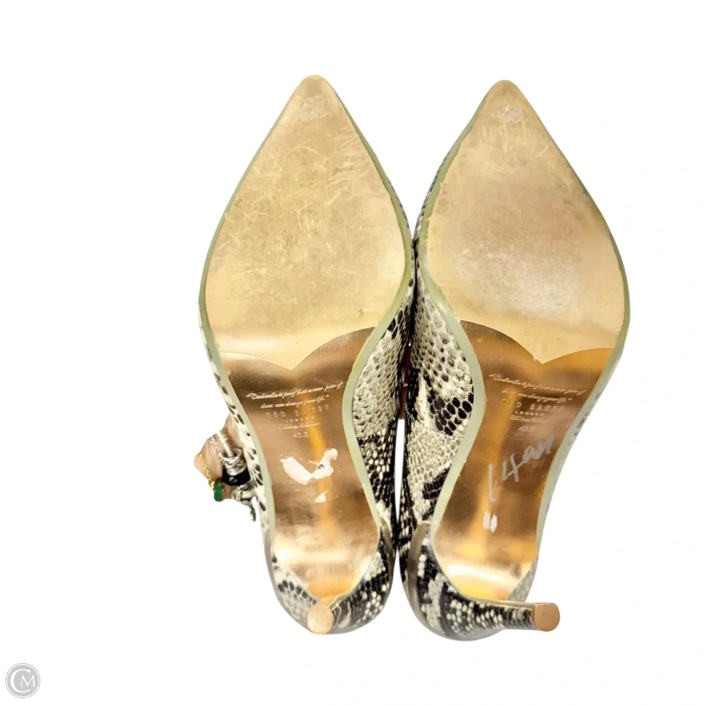 Shoes Heels Stiletto By Ted Baker In Snakeskin Print, Size: 10