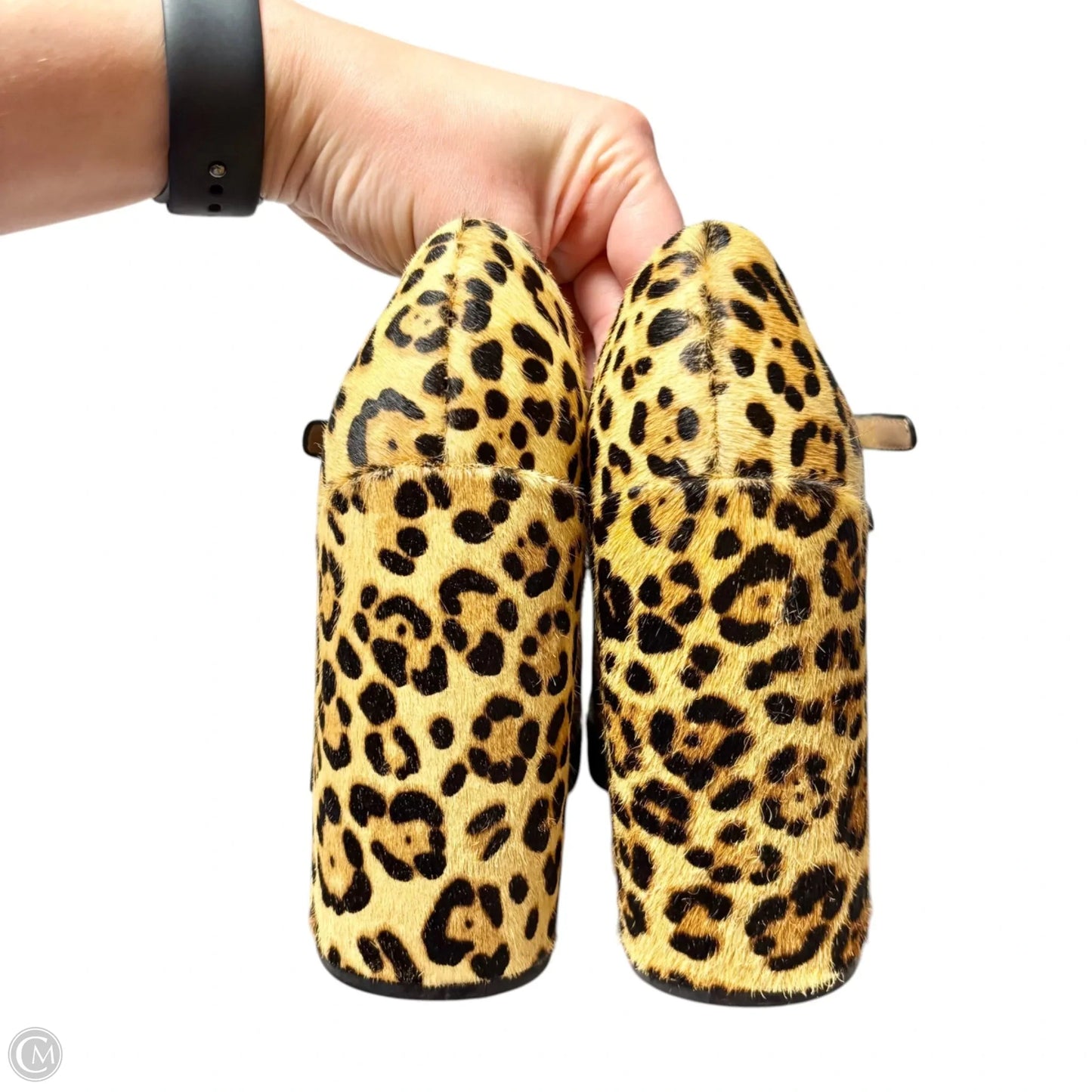 Shoes Heels Block By Steve Madden In Leopard Print, Size: 8.5