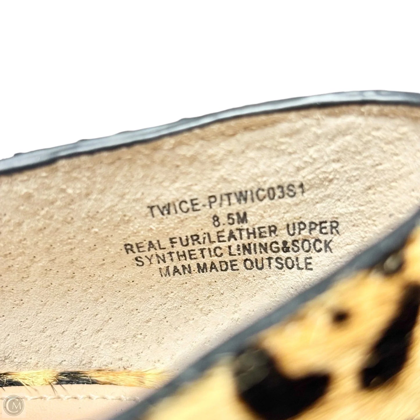 Shoes Heels Block By Steve Madden In Leopard Print, Size: 8.5
