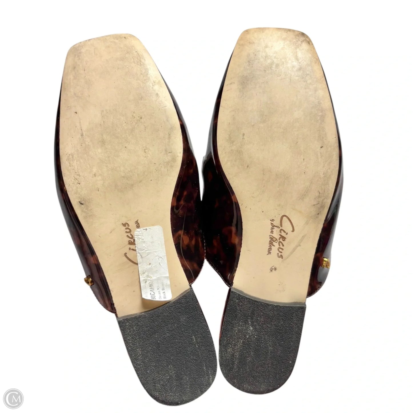 Shoes Flats By Circus By Sam Edelman In Animal Print, Size: 6.5